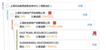 有限合伙形式下商务信息咨询的优势与实践——以上海乐焱商务信息咨询中心为例