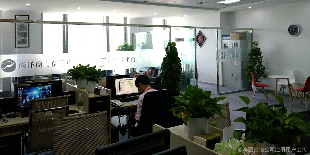尚洋商务信息咨询 洞察市场脉搏，赋能商业决策